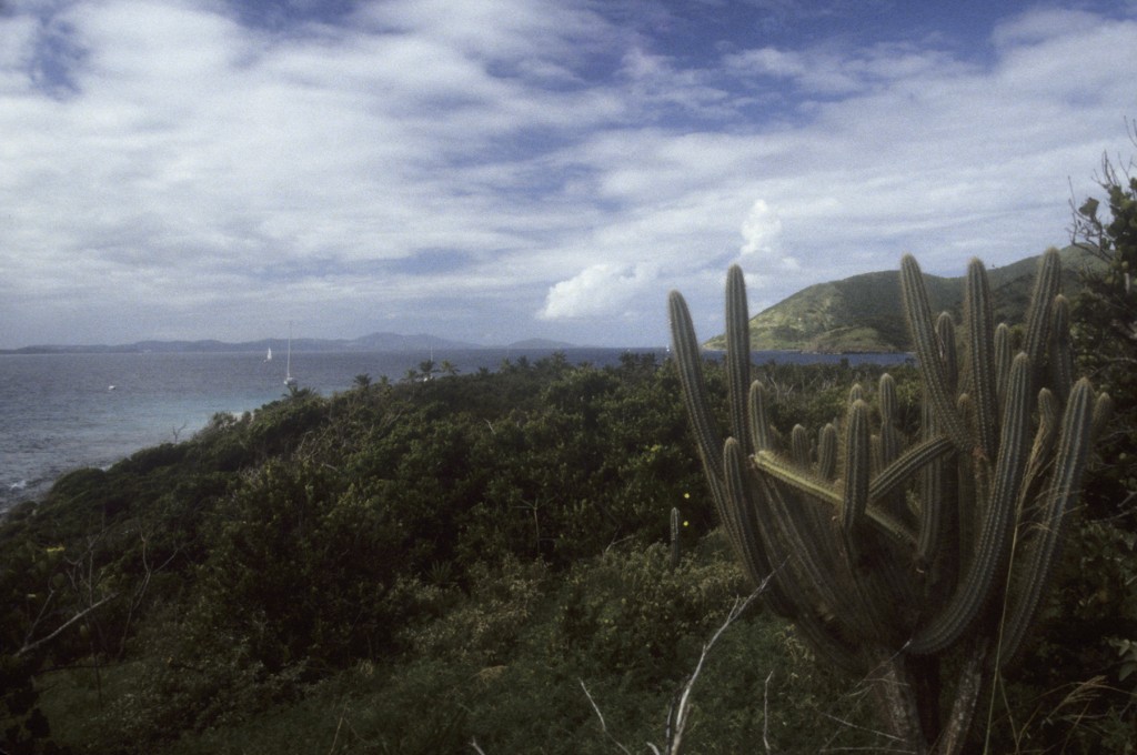 BVI_px81.jpg
