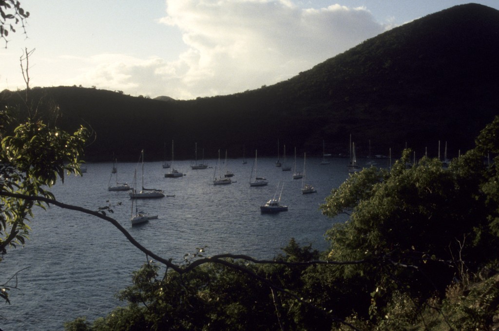 BVI_px91.jpg