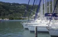 BVI_px34.jpg