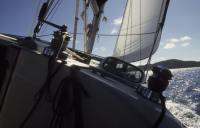 BVI_px38.jpg