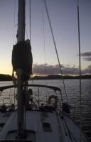 BVI_px39.jpg