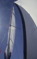 BVI_px46.jpg