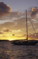 BVI_px49.jpg