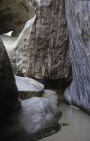BVI_px54.jpg