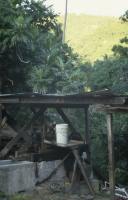 BVI_px69.jpg