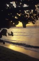 BVI_px75.jpg
