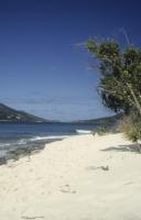 BVI_px79.jpg