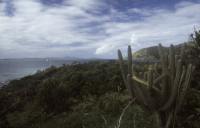 BVI_px81.jpg
