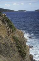 BVI_px85.jpg