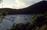 BVI_px91.jpg