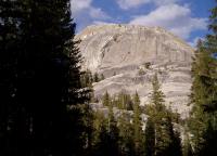 yosemite_back07.jpg