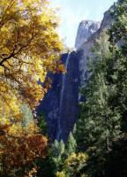 yosemite_back17.jpg