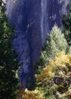 yosemite_back18.jpg