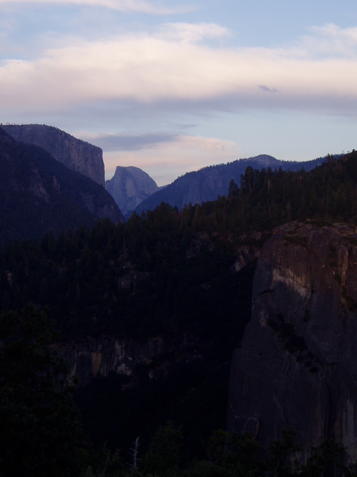 yosemite_back10.jpg