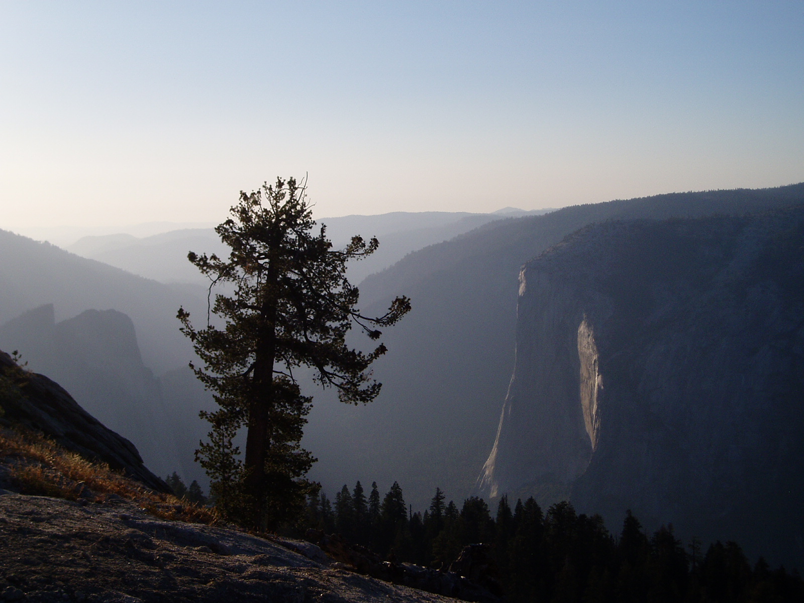 yosemite_back28.jpg