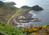 dsc00766.jpg