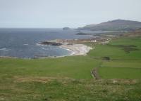 dsc00433.jpg