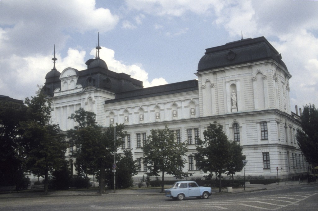 Sofia_06.jpg