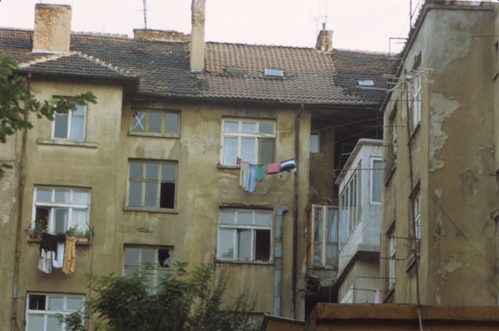 Sofia_10.jpg
