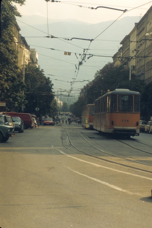 Sofia_12.jpg