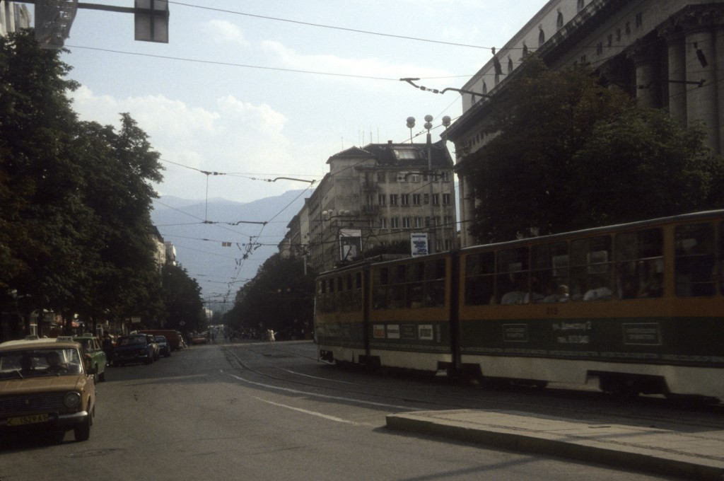 Sofia_17.jpg