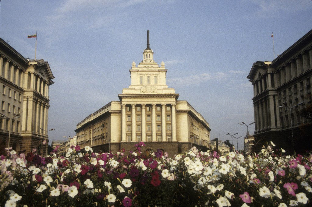Sofia_22.jpg