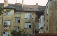 Sofia_10.jpg