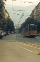 Sofia_12.jpg