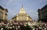 Sofia_22.jpg