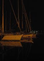 web_p5280579.jpg