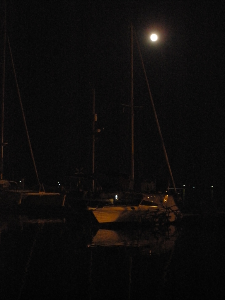 web_p5280580.jpg