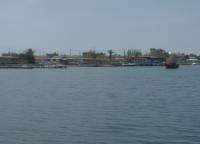 web_p5290581.jpg