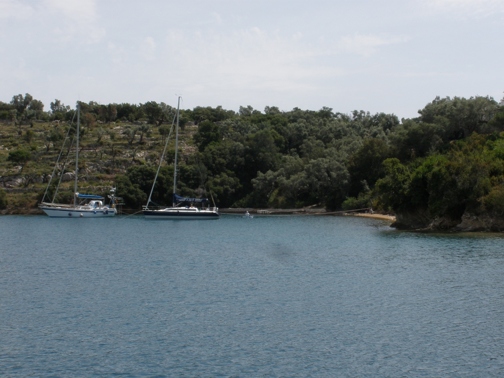 web_p5310643.jpg
